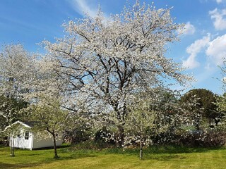 Casa de vacaciones Onsala Grabación al aire libre 4