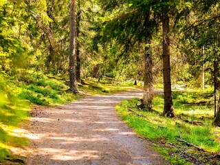 Vakantiehuis Welt  8