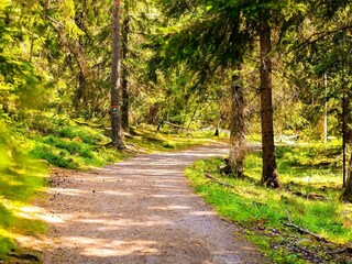 Vakantiehuis Welt  8