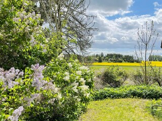 Holiday house Welt Outdoor Recording 5