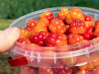 Holiday house Welt  15