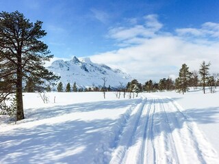 Holiday house Welt  21