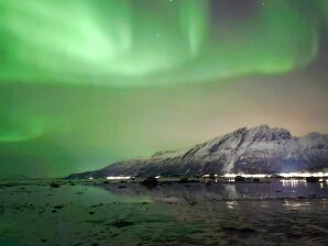 6 Personen Ferienhaus in Gratangen