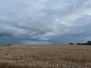 Ferienhaus Gedesby  21