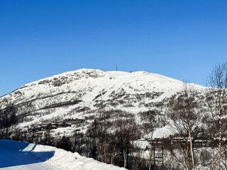 Apartment Setesdal  9