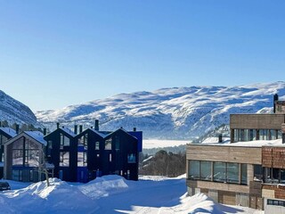 Apartment Setesdal  31