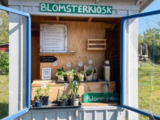 Vakantiehuis Borgholm  10