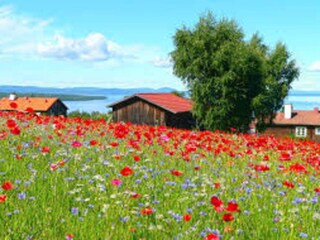 Vakantiehuis Siljansnäs Buitenaudio-opname 1