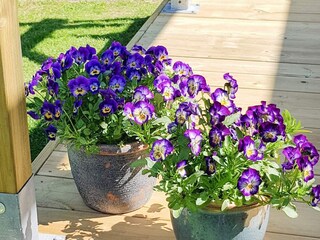 Vakantiehuis Norrtälje Buitenaudio-opname 4