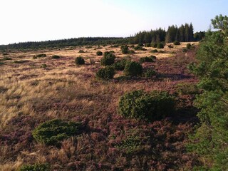 Holiday house Als  35