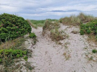 Vakantiehuis Als  35