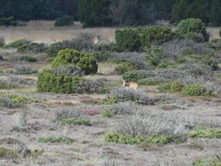 Holiday house Als  31