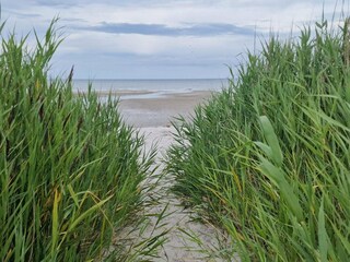 Holiday house Als  37