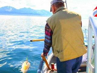 Holiday house Visthus  22