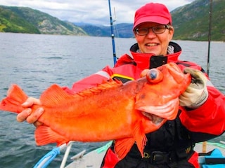 Holiday house Visthus  23