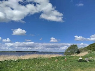Vakantiehuis Hjarbæk  61
