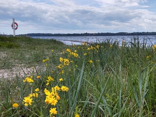 Holiday house Aabenraa  6