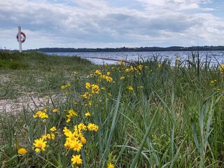 Holiday house Aabenraa  39