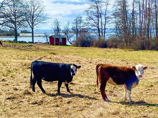 Holiday house Kalmar  22