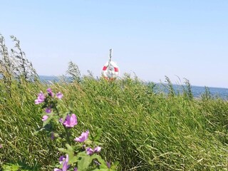 Casa per le vacanze Marstal  9