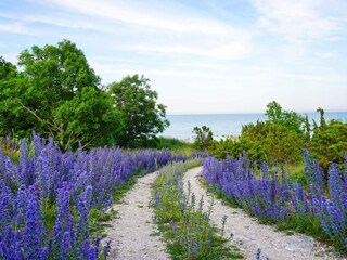 Vakantiehuis Welt  9