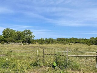 Vakantiehuis Welt Buitenaudio-opname 1