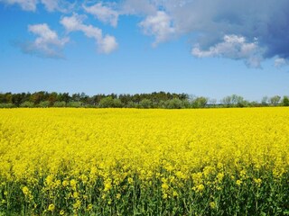 Vakantiehuis Welt Buitenaudio-opname 2