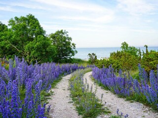 Vakantiehuis Welt  11