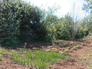 Villa Koxare Environnement 30