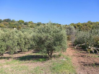 Villa Koxare Environnement 29