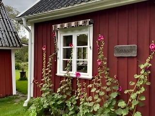 Holiday house Skällinge Outdoor Recording 10