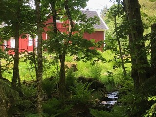 Vakantiehuis Skällinge Buitenaudio-opname 4