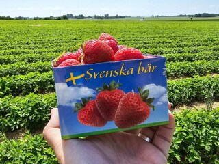 Holiday house Glemmingebro Outdoor Recording 5