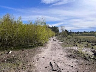 Vakantiehuis Vaeggerløse  43