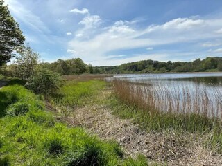 Ferienhaus Sønderballe  29