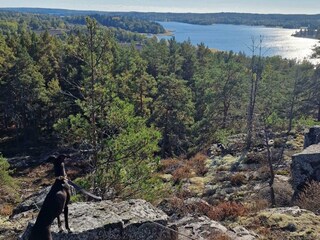 Vakantiehuis Gamleby  22