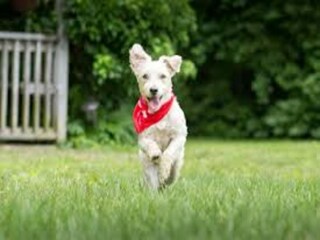 Villa Gouves Environnement 28