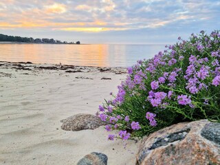 Holiday house Löttorp  17