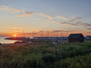 Ferienhaus Löttorp  13