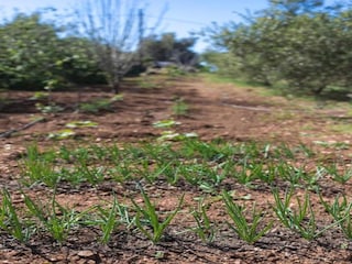 Villa Stavromenos Environnement 26