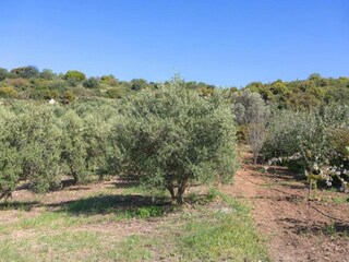 Villa Stavromenos Omgeving 32