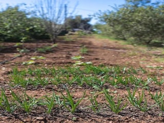 Maison de vacances Stavromenos Environnement 30