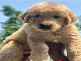 Villa Prines Umgebung 25