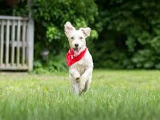 Villa Prines Umgebung 27