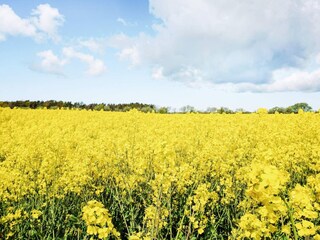 Holiday house Katthammarsvik  8