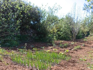 Villa Vasilikos Environnement 24