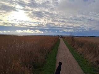 Vakantiehuis Ringkøbing  23