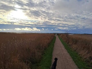 Casa per le vacanze Ringkøbing  20
