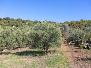 Villa Vasilikos Umgebung 20