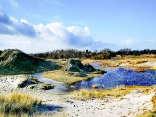 Vakantiehuis Hals  35